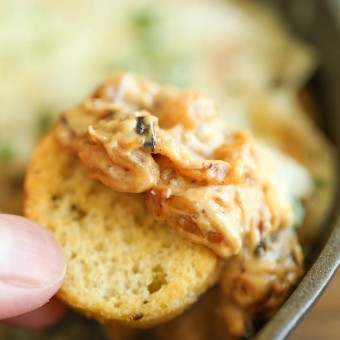 French Onion Dip